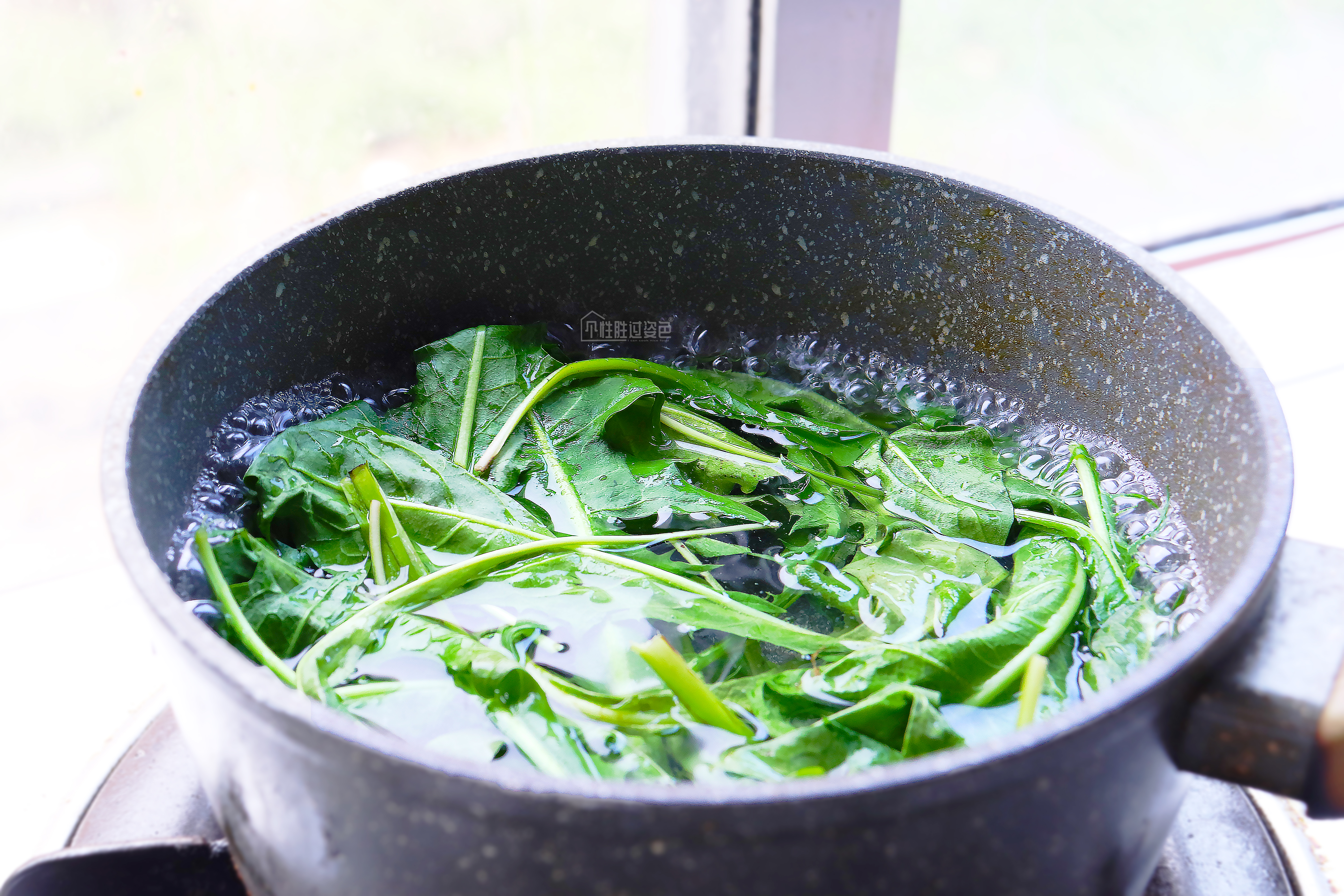 新鲜蒲公英直接煮的方法,夏天这菜别错过清热消暑