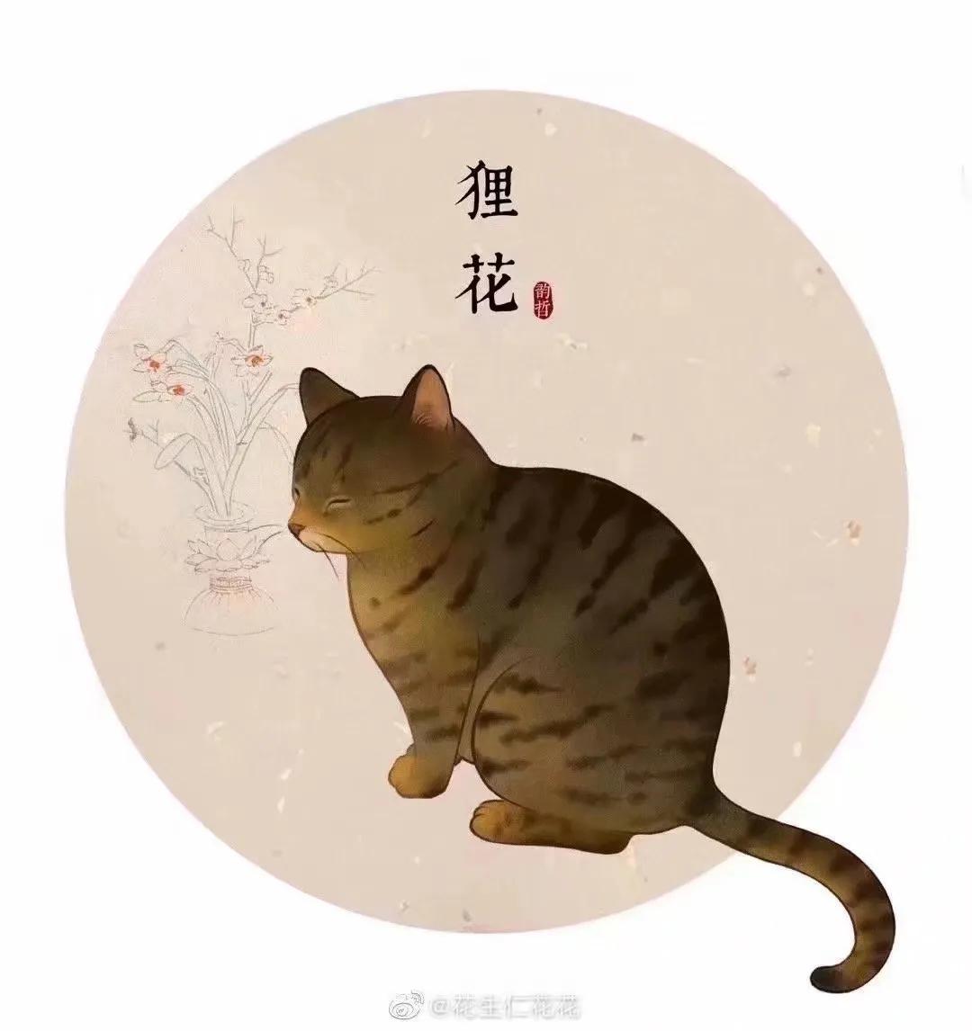 古代常见的猫有哪些种类,古代的猫是怎么生存的