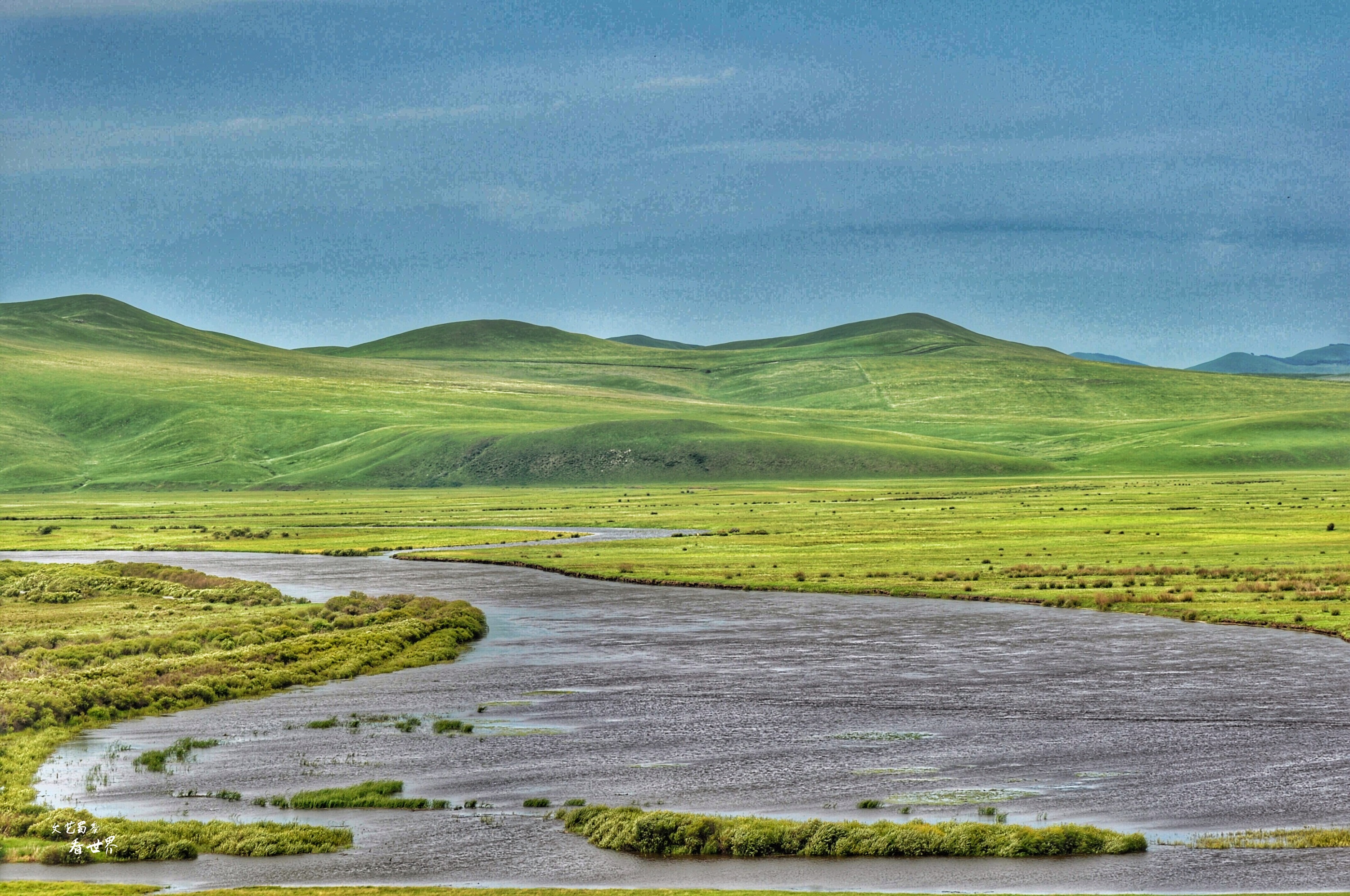 额尔古纳河离呼伦贝尔大草原远吗 (额尔古纳草原深度游)