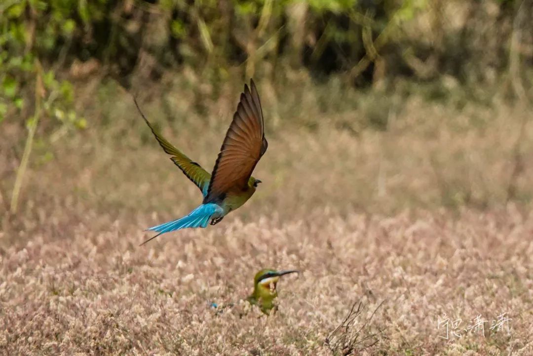 对焦方式怎么调整单次对焦,视频对焦4分钟学会30种对焦策略