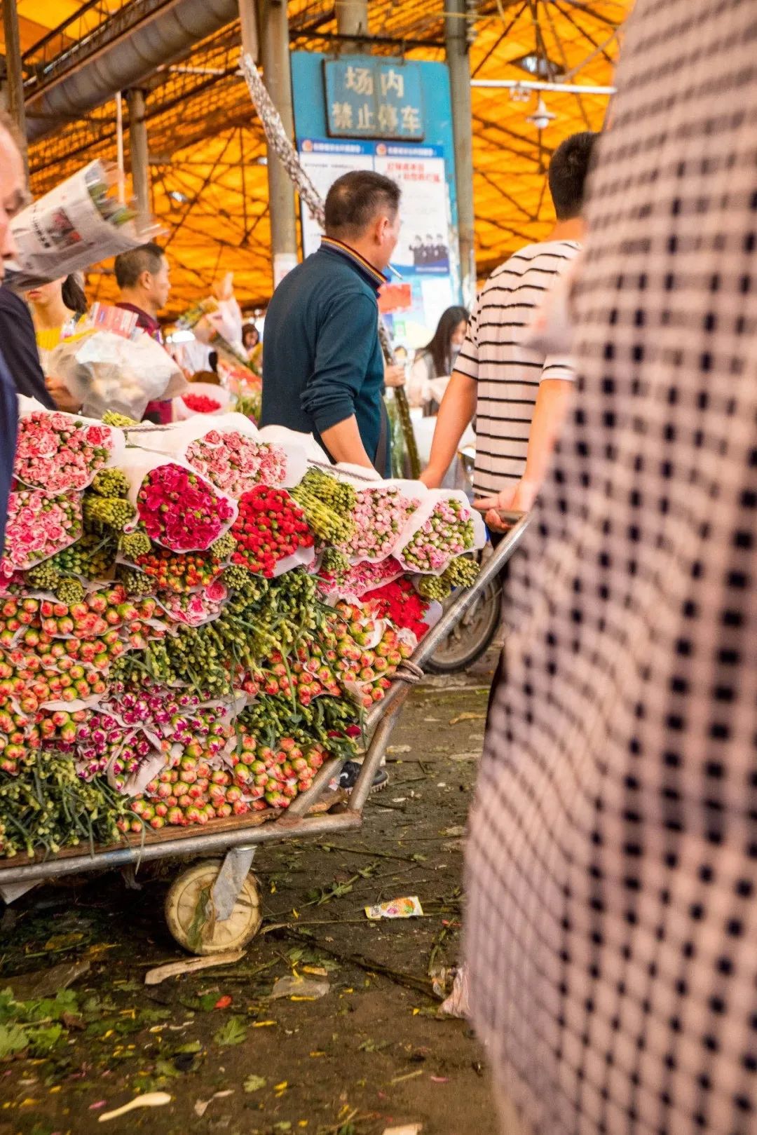 深夜去广州的花卉市场买花,如何逛斗南花卉市场买花便宜