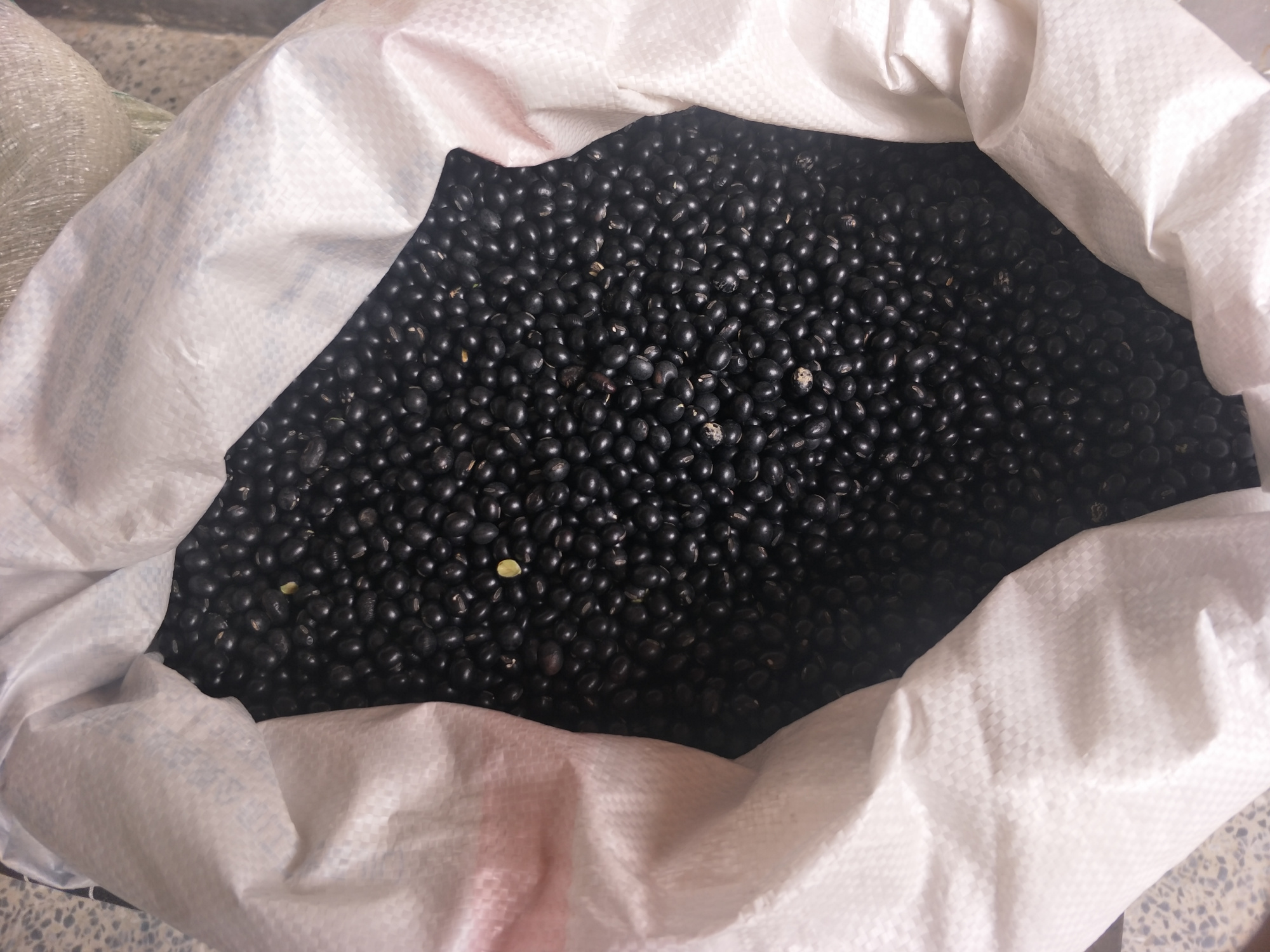 崇州竹里建筑,成都市崇州竹里