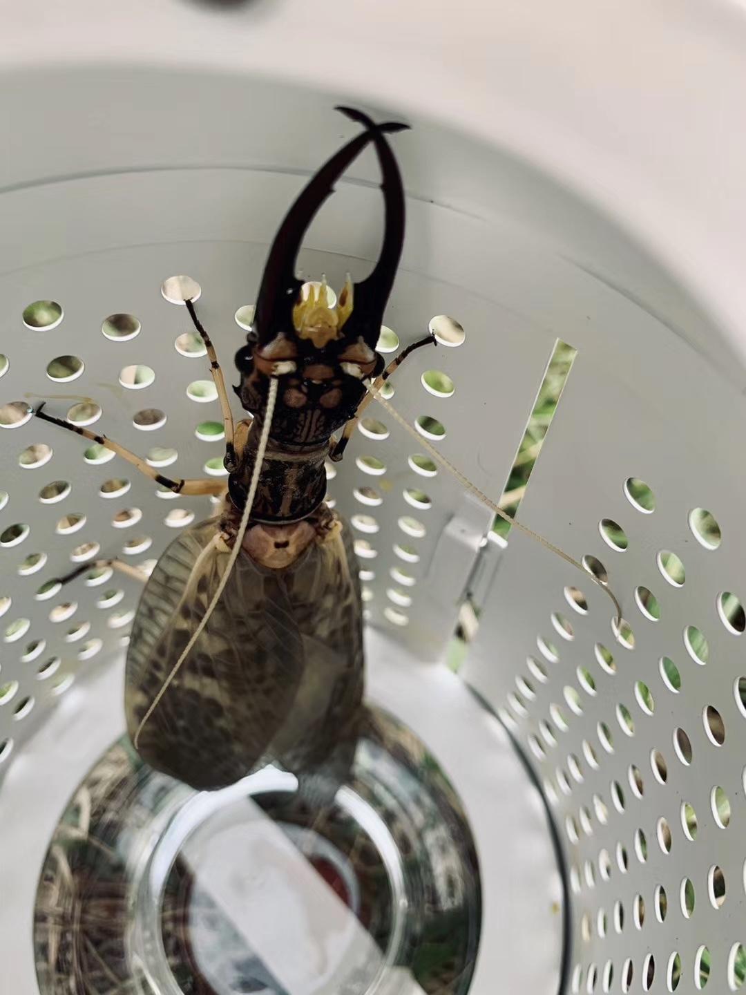 glb旅行改装,奔驰glb露营