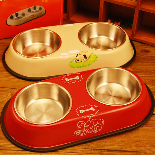 养狗新手入门必备知识,养狗知识大百科入门篇