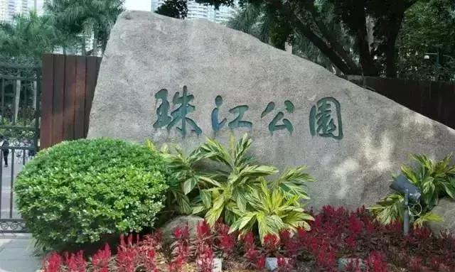 广州现在赏花哪里最好,广州各区赏花全指南