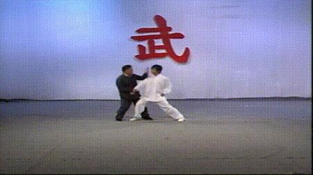 螳螂拳的实战杀法,最猛螳螂拳全套慢动作教学