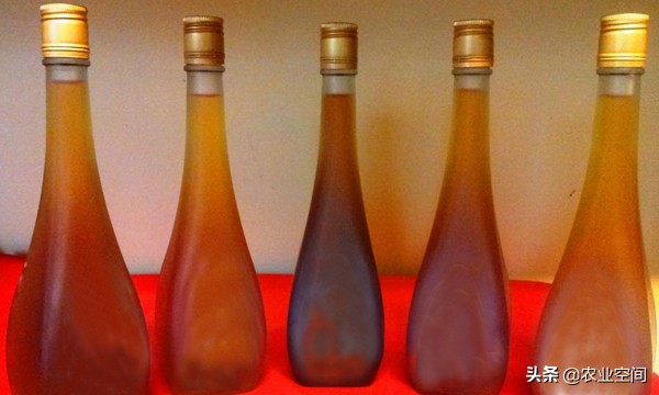 残损的水果可以做什么,废旧水果加工利润