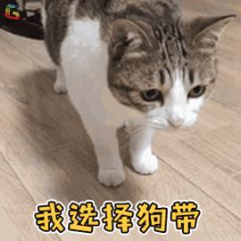 男朋友很直男不体贴,男朋友很直男不懂浪漫