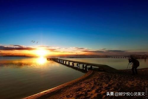 最好的朋友不需要刻意维护感情,任何感情不值得你用生命维护