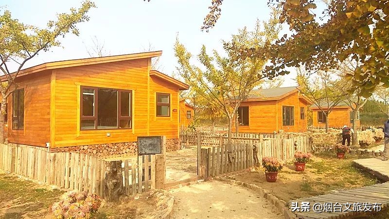 莱州金秋旅游去处,山东莱州旅游文化节