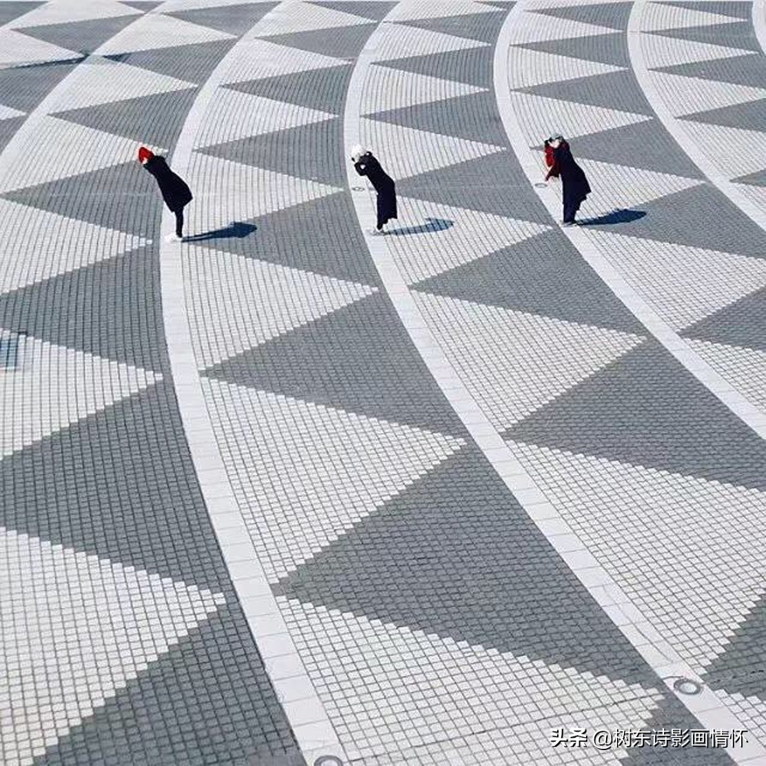 七律岁月,七律岁月年轮