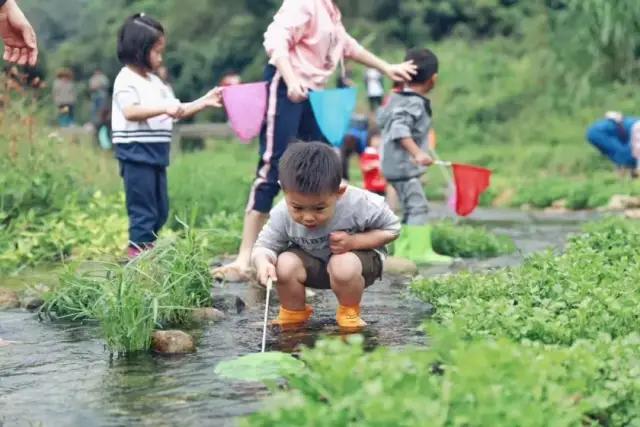广州从化山野间隐奢桃源民宿,诗意野趣手作做个小木匠丨菁木山舍