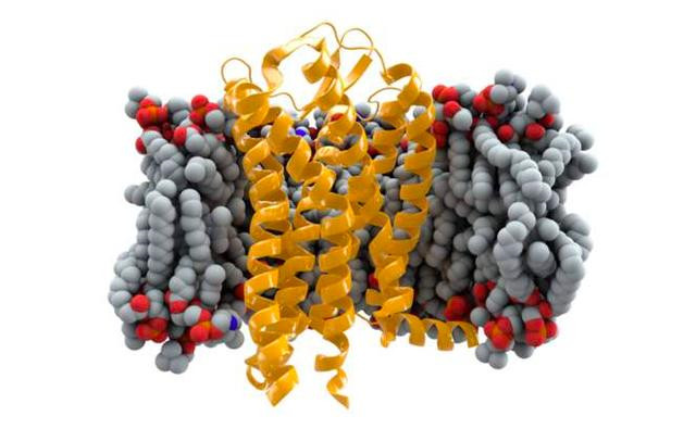 首例hiv阴性艾滋病,hiv首例感染者