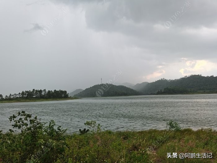 雨中作乐:酒足饭饱，雨后垂钓收货颇丰！