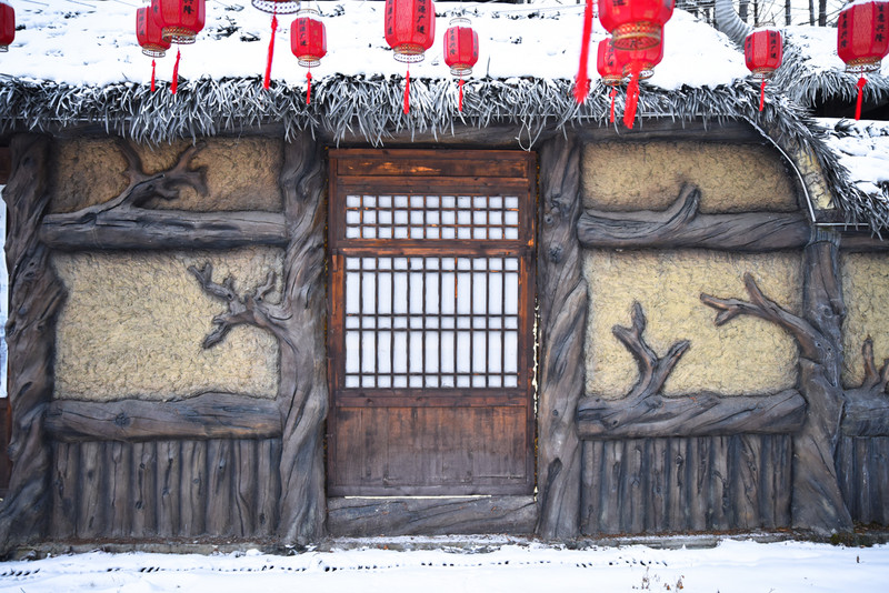 冰雪总动员简介,冰雪总动员