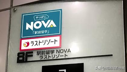 【龙腾网】为什么很多在日教英语的外国人什么都不做只会抱怨？