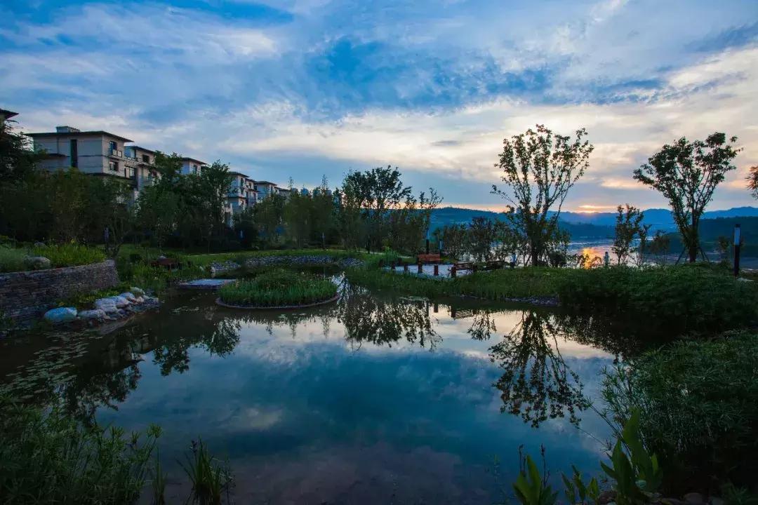 代驾司机的真实生活,真实故事代驾司机的秘密