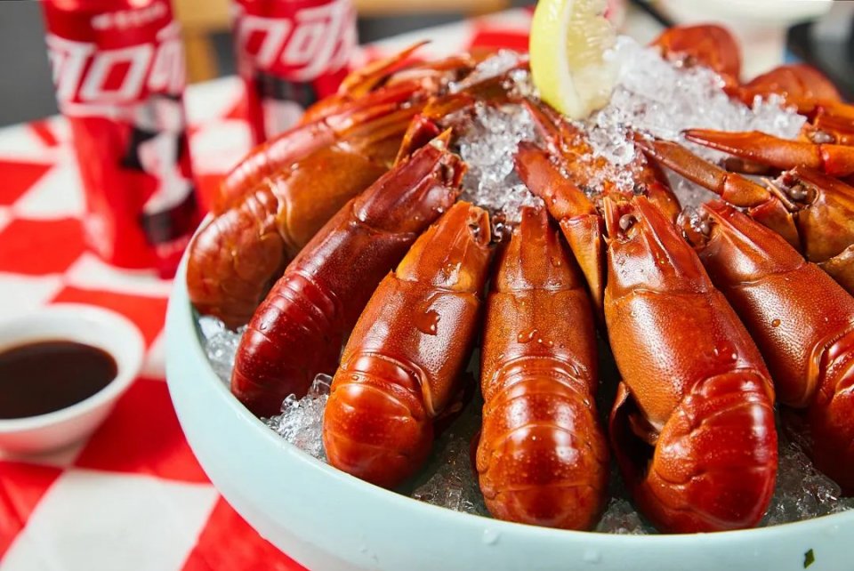 鍙彛鍙箰鎺㈠簵鎵撳崱,鍙彛鍙箰鎺㈠簵瑙嗛