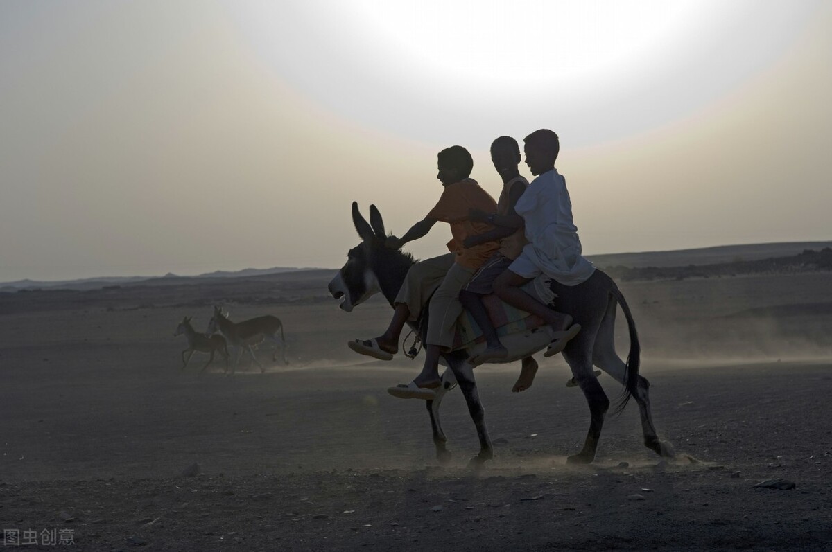 马肉在北非不是肉，是灵丹妙药