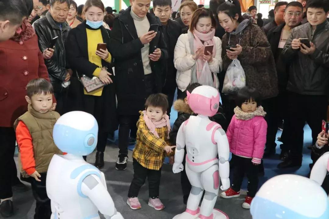 永城面博会策划,永城面博会照片