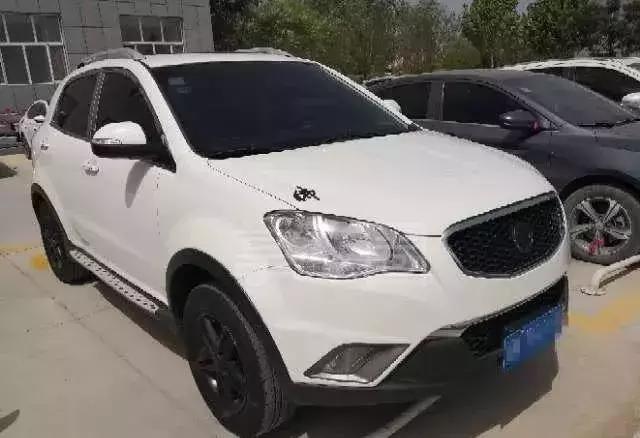 NO.870:鸽子在天上飞的呢,阿克苏却有人要买1000只…