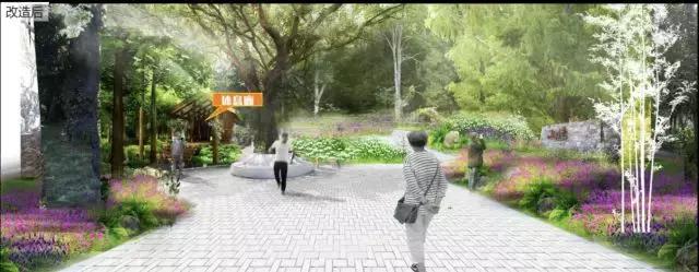 白云山新景,广州白云山开发理念及规划