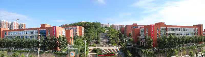 外国语里盛“国风”，这个“实验”既“好嗨”又雷人