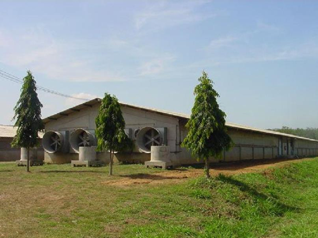 新建养猪场在什么地方,新建猪场怎么规划区域