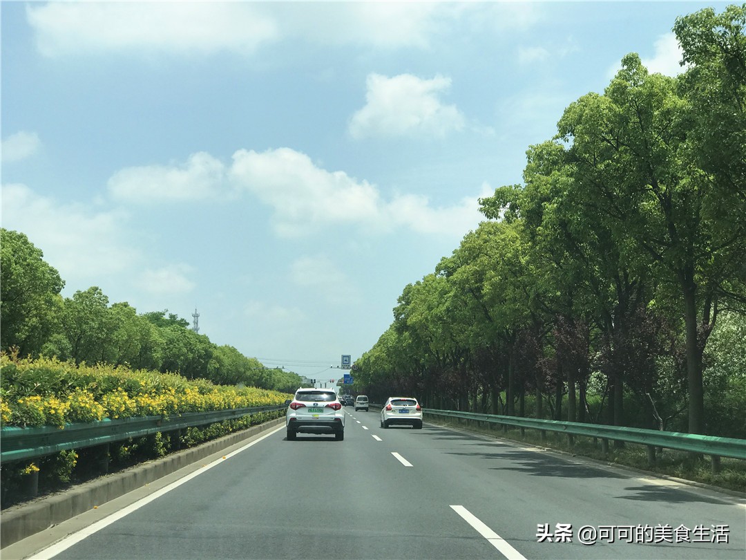 上海崇明岛土鸡,去崇明岛你吃过几道农家菜