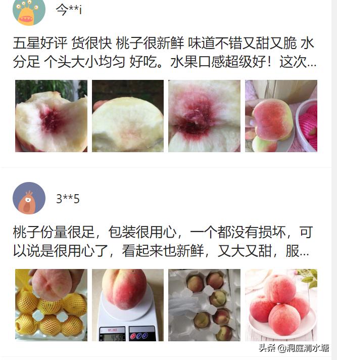 桃子甜度吉尼斯世界纪录,生长六个月的桃子成熟了