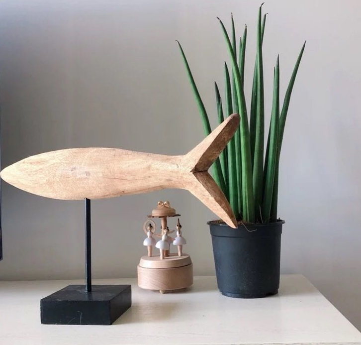 刷屏级花草，我也就拿着手机看了一下午而已！