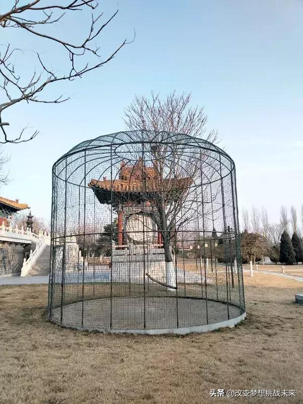 又一直销巨头出事，10亿“宫殿”被曝光！