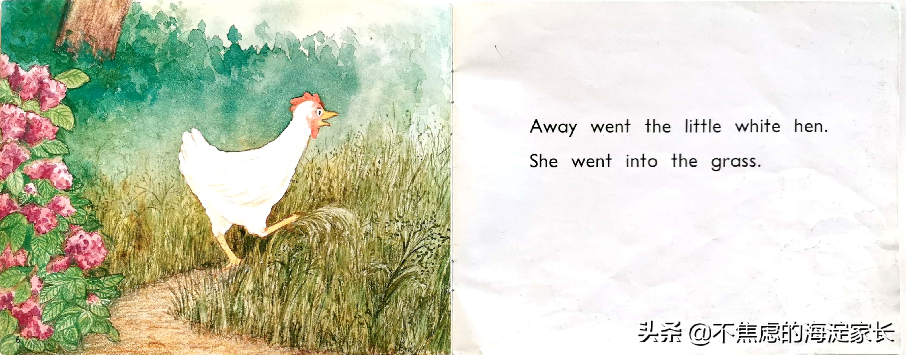 二年级新西兰本土读物,新西兰一年级小学生读物