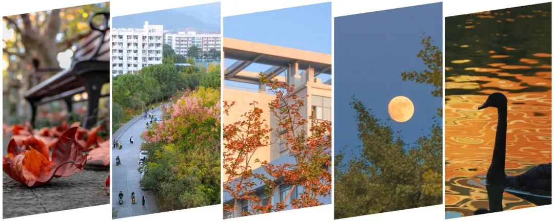 “16万+”福利来了！快来打开浙师美好“食”光