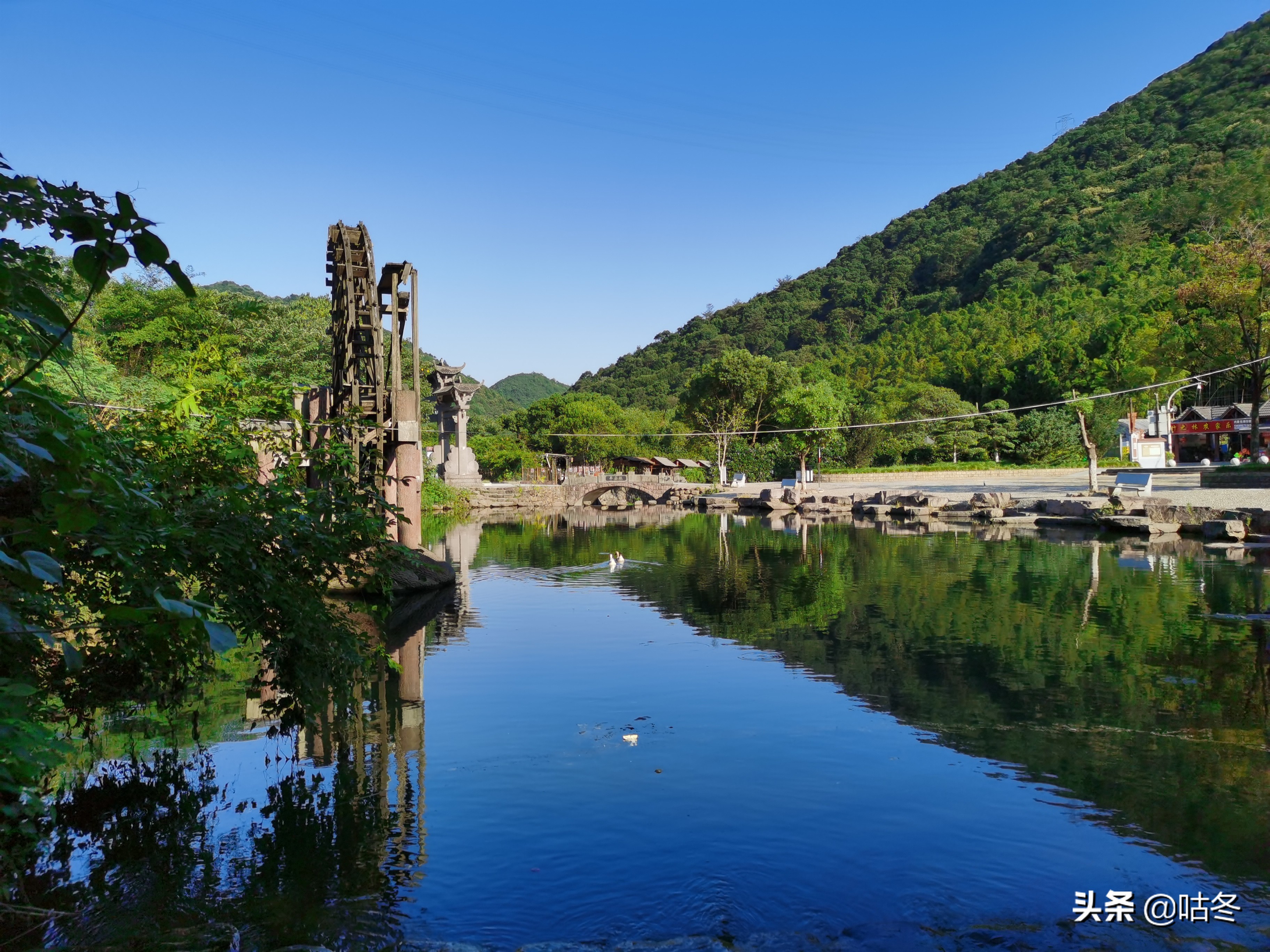 九龙湖风景区猴岛票价多少一张,宁波九龙湖旅游度假区猴岛官方