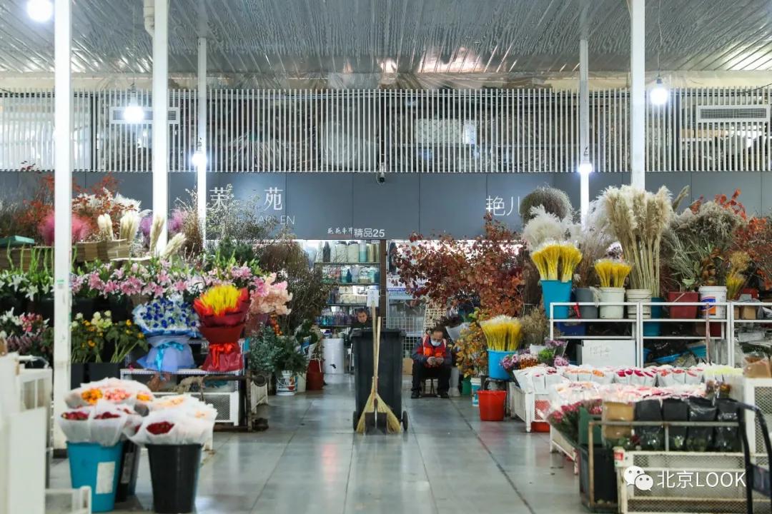 最便宜的北京花市,北京超好逛的花市