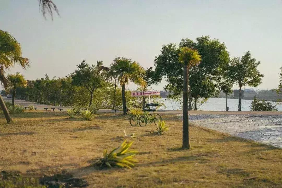 广州周末踏青好去处人少的地方,适合清明踏青的地方广州有哪些