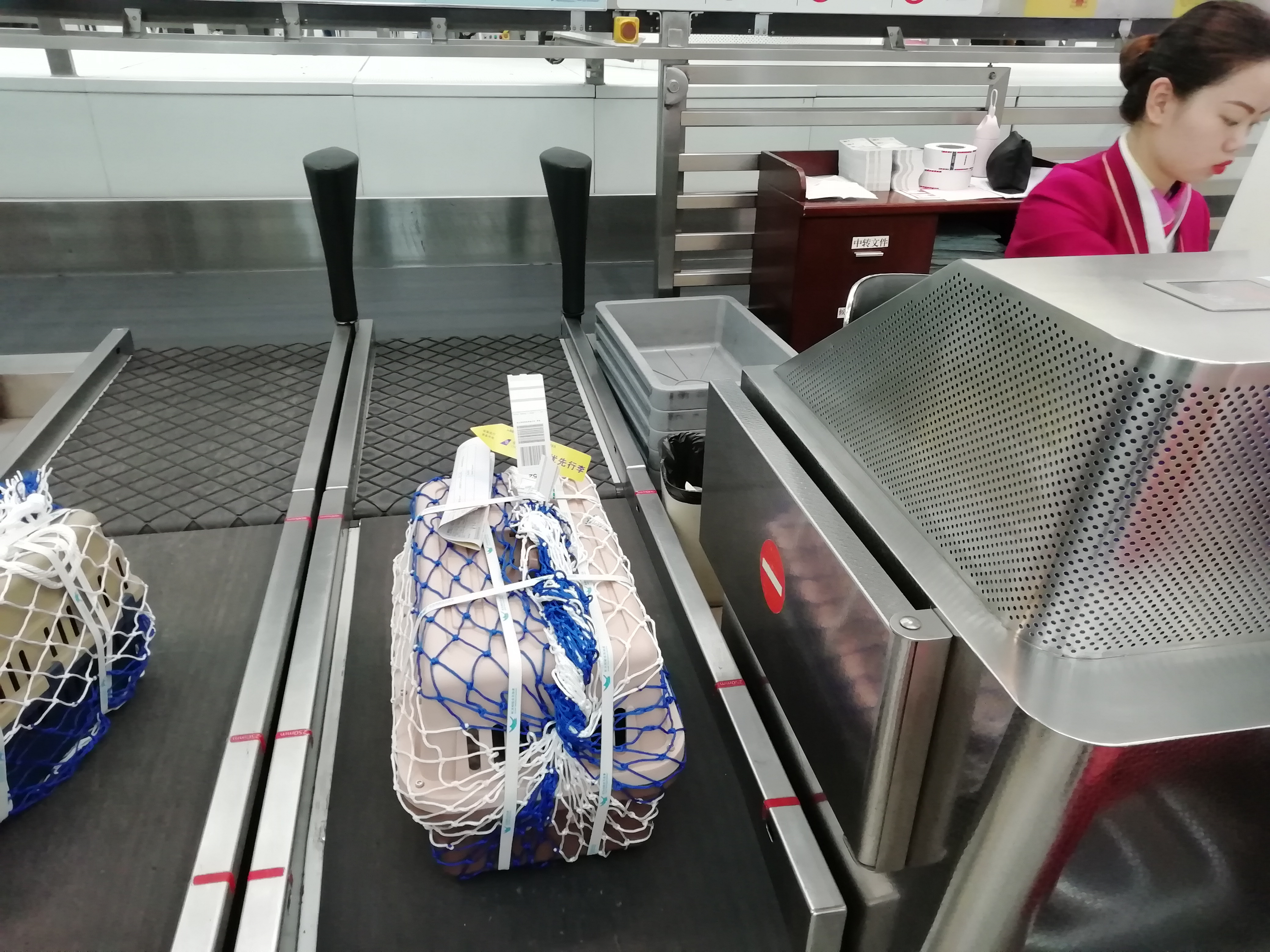 给宠物托运需要什么条件呢,天津宠物托运收费标准空运