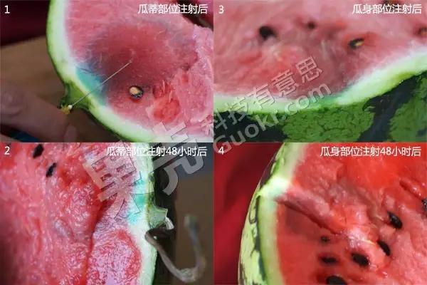 柑橘打甜蜜素会退糖吗,红心柚子会打甜蜜素吗