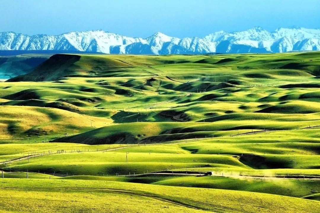 青海旅游攻略景点必去,一生一定要去一次青海吗