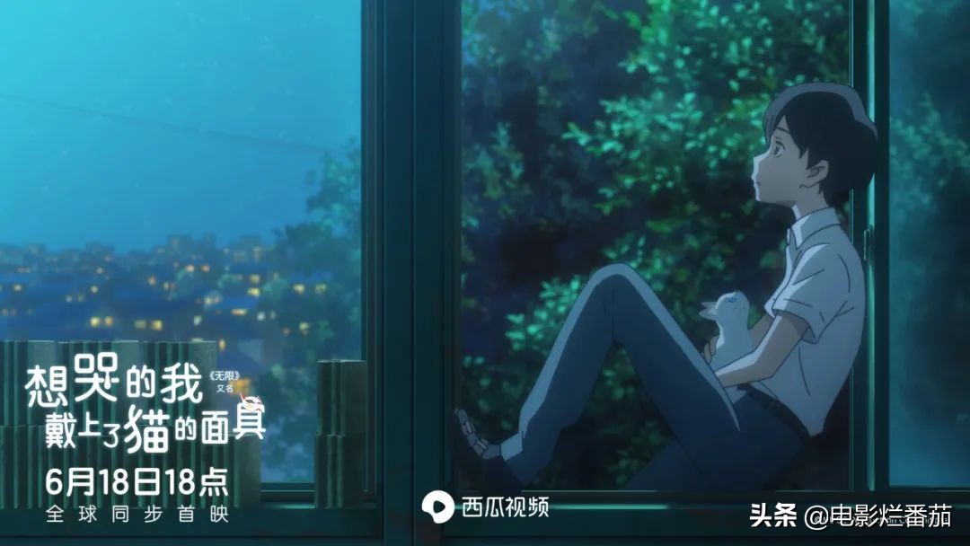 这部温情的撸猫片，让我哭得溃不成军，这是全世界猫*党**的胜利