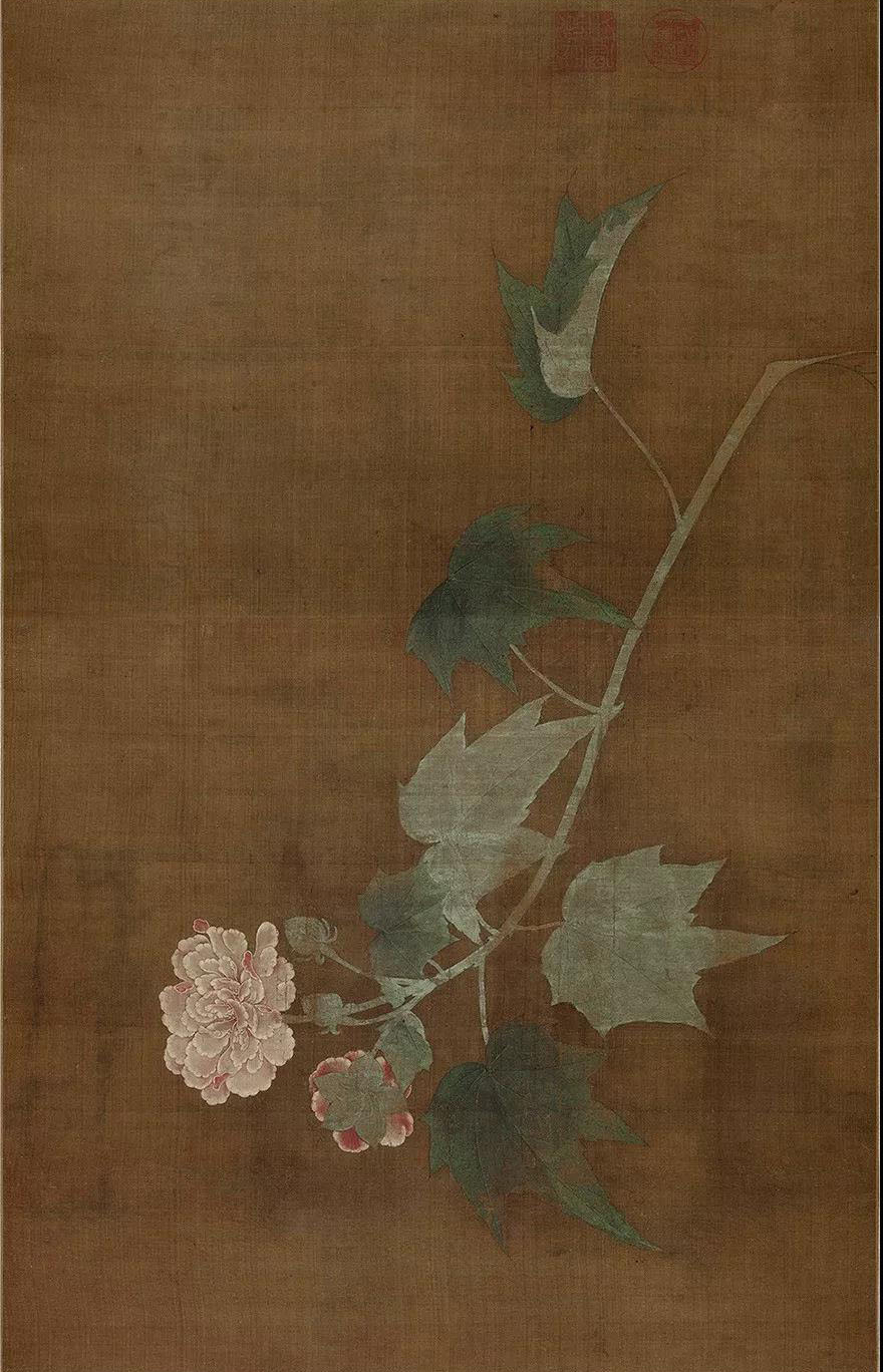 学画画最基础的从哪里学起,60岁学画画入门