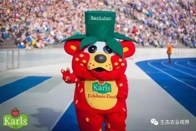 用一颗草莓吸引5百万游客,开5家主题乐园、4家超市、300个草莓屋