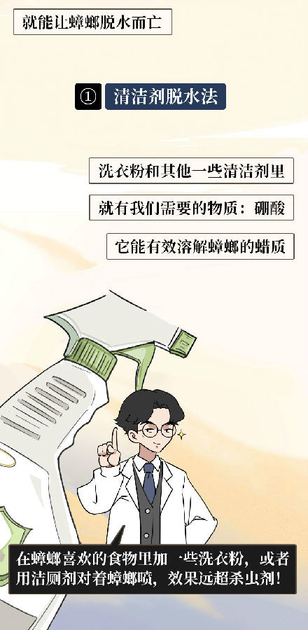 蟑螂一次能生多少幼崽,蟑螂一生只产一次卵吗