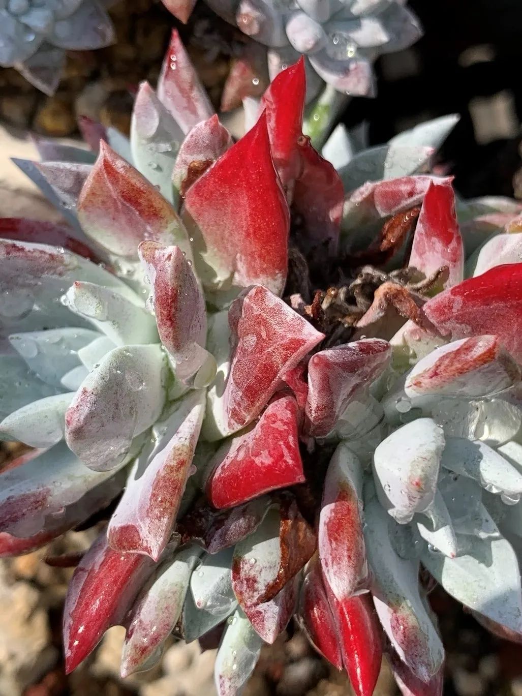 禁足的日子收获颇多,禁足