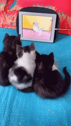 笑掉大牙的图片gif,表情包动态gif笑掉大牙