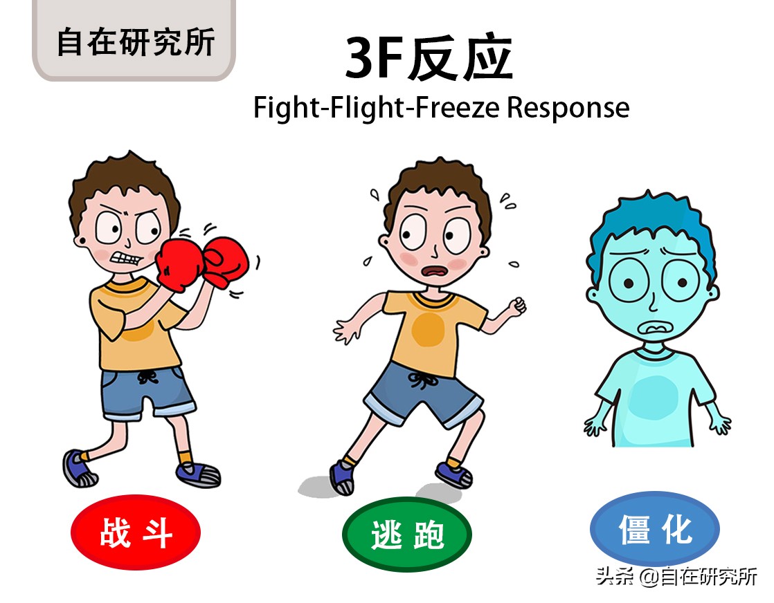 孩子爱哭闹发脾气还爱打人,孩子容易情绪激动易怒失控