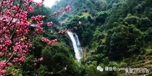 有一种生活叫永春湖洋,有一种生活叫永春夜景