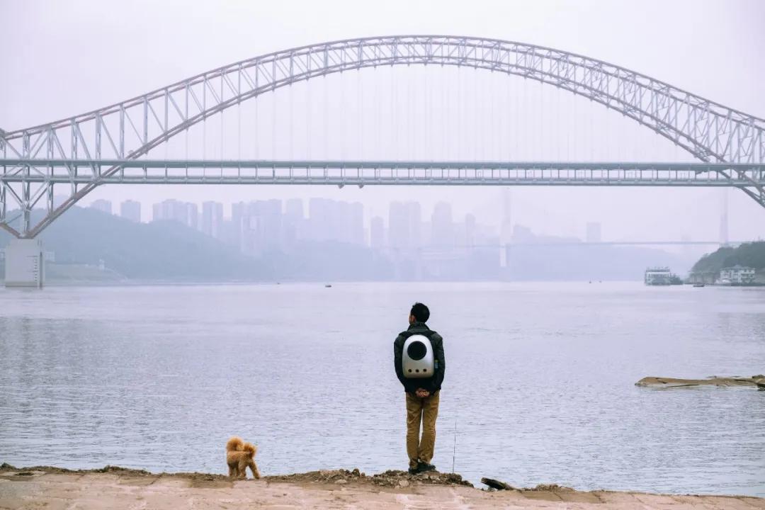 《安家》大结局，揭露了成年人生活的三个扎心真相