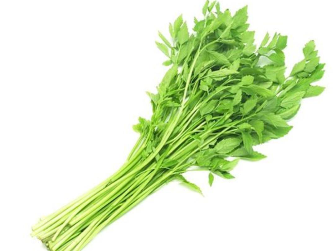 夏季湿气重吃什么排湿最快,祛体内湿毒的最好最快的方法